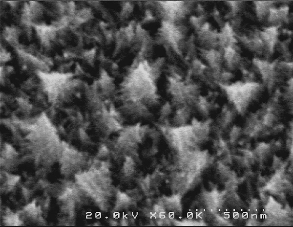 Unique Christmas-tree-shaped palladium nanostructures