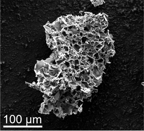 Pores in this micron-scale particle, the result of pyrolyzing in the presence of potassium acetate, are able to sequester carbon dioxide from streams of flue gas