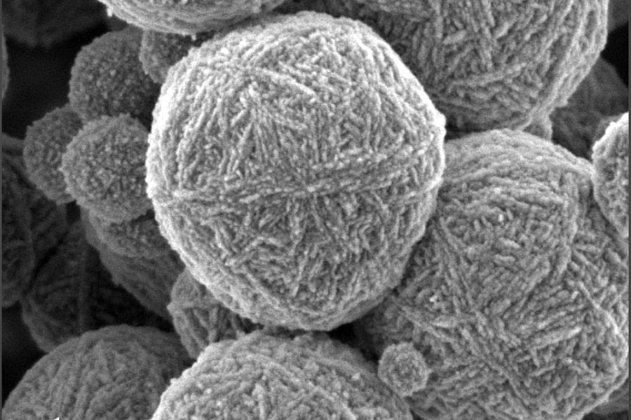 These particles resembling microscopic balls of knitting wool are actually inorganic zeolite particles