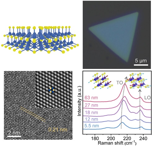 Researchers obtained high-quality 2D InAs single crystals via van der Waals epitaxy and explored the optical and electrical properties of InAs single crystals