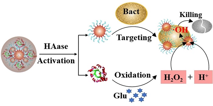 Antibacterial Nanozymes