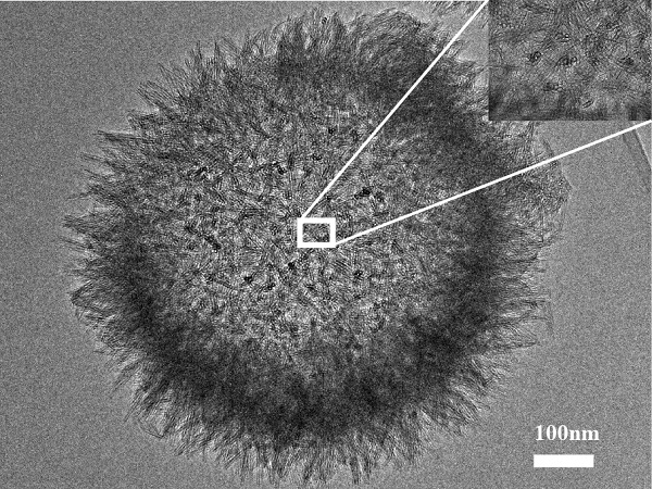 Morphology of sea urchin-shaped hollow silicon-based foliar nitrogen fertilizers.