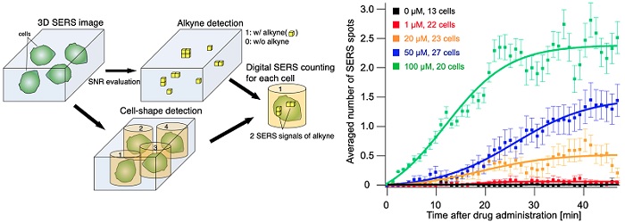 Quantitative detection of the number of SERS signals of alkynes at the single-cell level