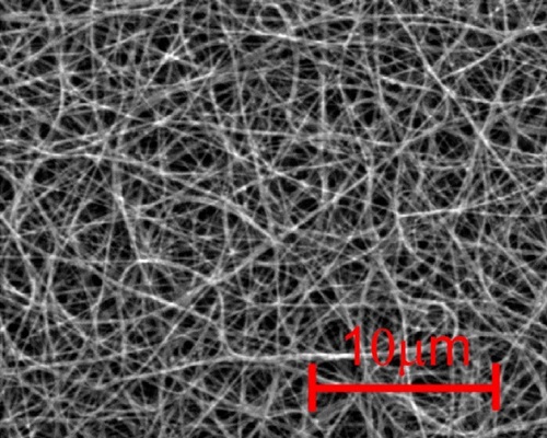 Carbon nanotube film under a scanning electron microscope 