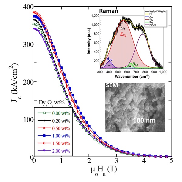 Plot of critical current density vs. magnetic field of MgB2 bulks with Dy2O3 doping. (Inset) Raman spectroscopy and nanometer-sized MgB2 grains.