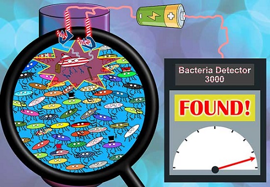 By using a customized surface to bait the targeted pathogens, they separate by themselves from a mixture of many different bacteria. This makes it easy to detect them electrochemically.