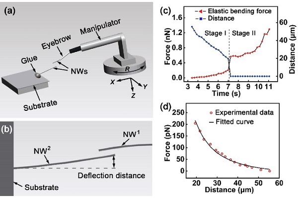 Researchers reveal why nanowires stick to each other