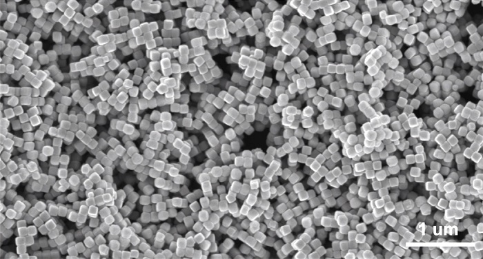 An electron microscope images shows copper nanocubes used by Rice University engineers to catalyze the transformation of carbon monoxide into acetic acid