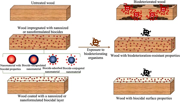 Chematic illustration of strategies applied for development of biodeterioration-resistant wood