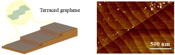 The concept of the terraced single-layer graphene formation