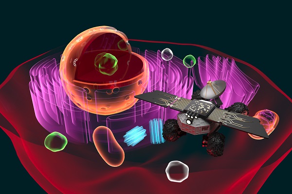 An artist's rendition of the Cell Rover, an intracellular antenna for exploring and augmenting the inner world of the cell