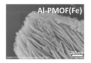 Scanning electron microscope image of the new photocatalyst