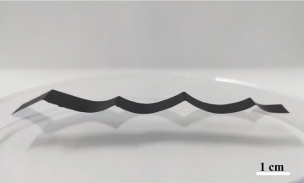 The 3D printed graphene-oxide structure with a thickness of 20 μm.