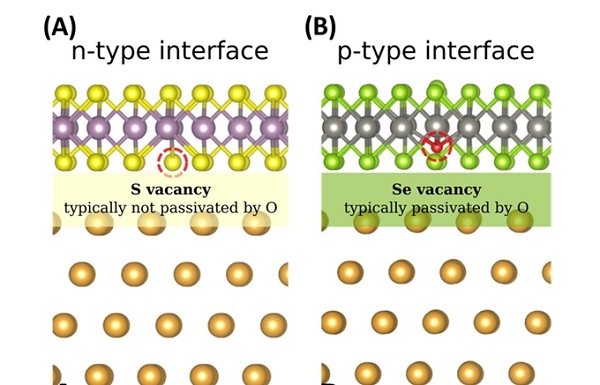 Figure A shows the atomic structure of molybdenum disulphide (MoS2) on gold metal