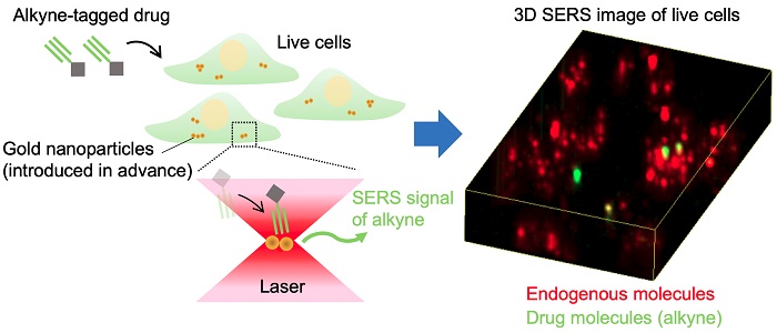 Schematic illustration of alkyne-tagged small-molecule drug detection in live cells using surface-enhanced Raman scattering of gold nanoparticles