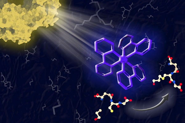 MIT researchers have designed a new type of photocatalyst that can absorb light and use it to help catalyze a variety of chemical reactions that would otherwise be difficult to perform