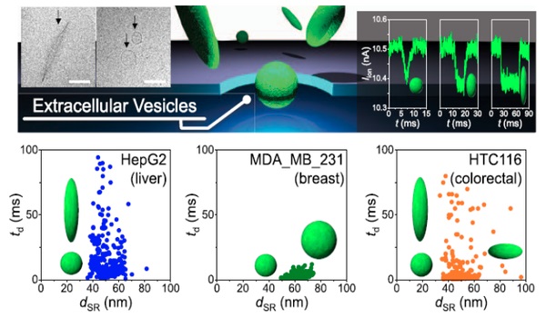 Low-aspect-ratio nanopore devices can rapidly analyze the shapes of extracellular vesicles (EVs) individually in solution