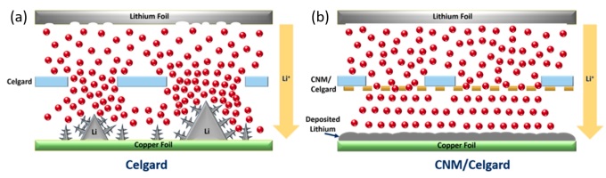 Regular battery separators with microscale porosity cause non-uniform lithium transport