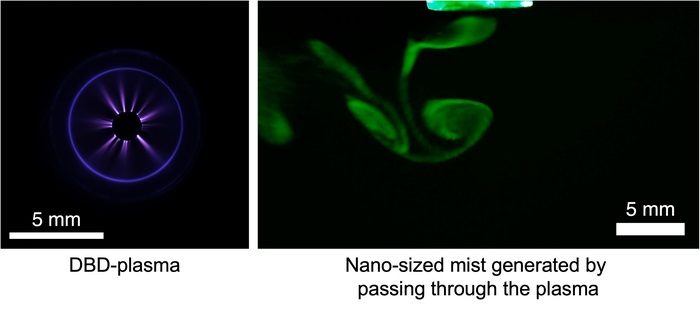 Light emitted by plasma generated in the electrode unit when no solution was infused.