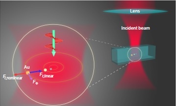 Illustration of the experimental setup and the mechanism of nonlinear particles orbiting in light