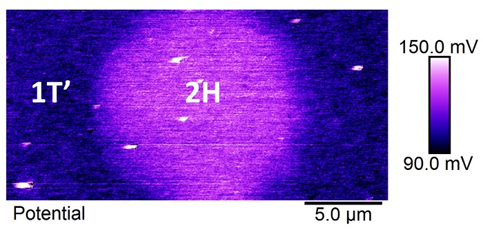 An image from a Kelvin probe force microscope shows the electronic potential distribution across the metallic and semiconductor phases of MoTe2