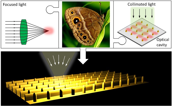 Putting the pieces of the puzzle together. Butterfly wings inspired the creation of nanostructures that allowed more light energy to be concentrated.