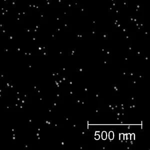 Iron Oxide Nanoparticles