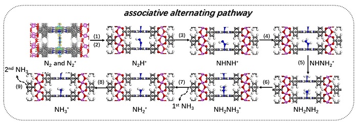 AmmoniaThis figure demonstrates how the new photocatalyst triggers the nitrogen reduction reaction and produces ammonia