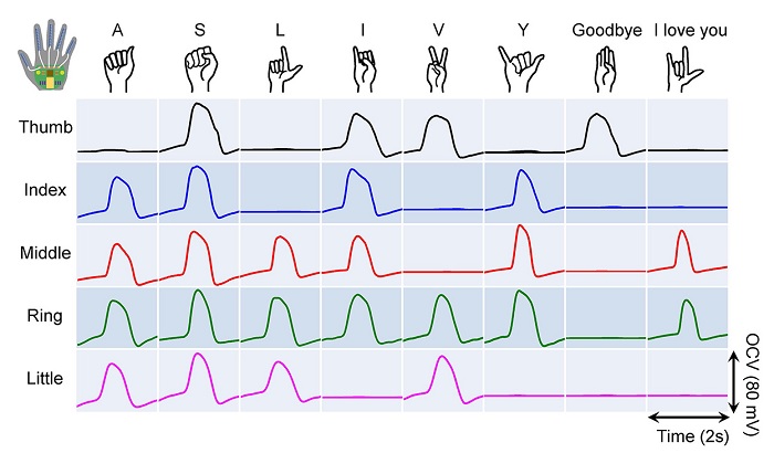 As someone wearing the glove formed different letters and phrases in American Sign Language, the hand gestures generated distinctive electrical signals