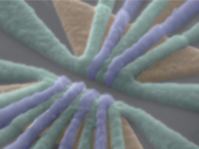 False-colored scanning electron micrograph of the device