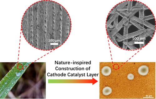 Nature-inspired design and construction of Pt nanotrough electrode