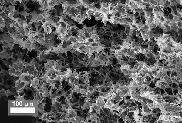 Under the scanning electron microscope, the basic structure of the material looks like a porous sponge, that can be easily compressed