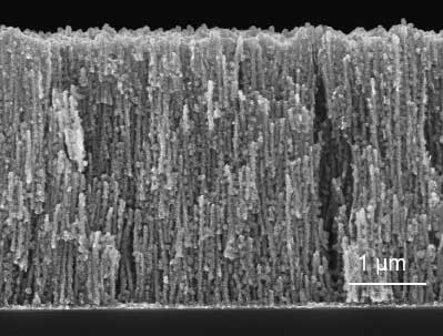 Scanning electron microscopy cross-section image of the LixMnO2-coated nanomesh electrode