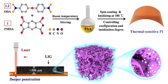 Schematic illustration for the improved laser inducing growth process of ultra-thick 3D graphene frameworks with hierarchical pores