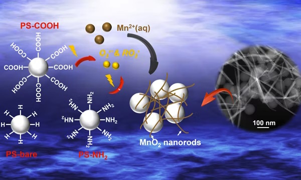 Nanoplastics facilitate redox chemistry in the environment under light illumination