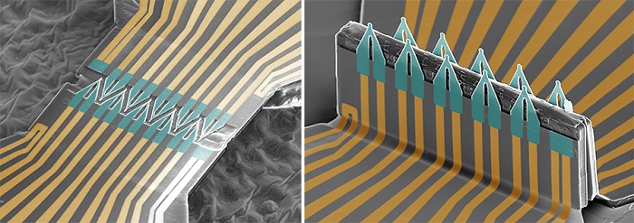 SEM images of the device in its 2D form (left) and folded into its 3D structure (right)