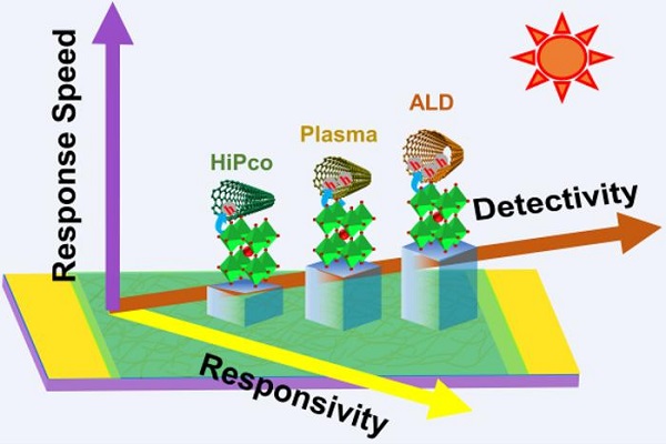 The response speed, responsivity and detectivity of SWCNT/perovskite QD photodetector films improve as the diameter of the SWCNTs in the bilayer film increases