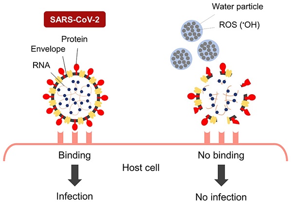 When the envelope, protein, and RNA of SARS-CoV-2 are damaged by nano-sized electrostatic atomized water particles, the virus is unable to bind to host cells