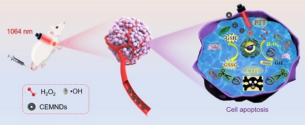 Schematic illustration of synergistic antitumor mechanism of the CEMNDs nanozyme.