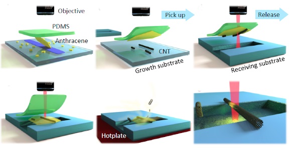 Schematic showing how the carbon nanotube is constructed and positioned