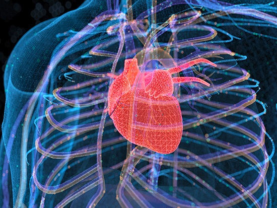 Release of TT-10 from nanoparticles improved heart function after a heart attack