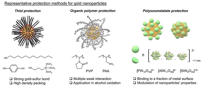 Gold nanoparticles compared.