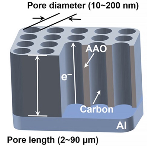 Model membrane electrode showing a wide range of controllability on the pore dimensions.