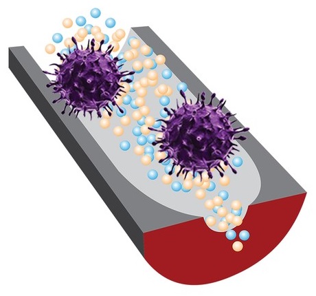 A new sensor can distinguish infectious viruses from noninfectious ones