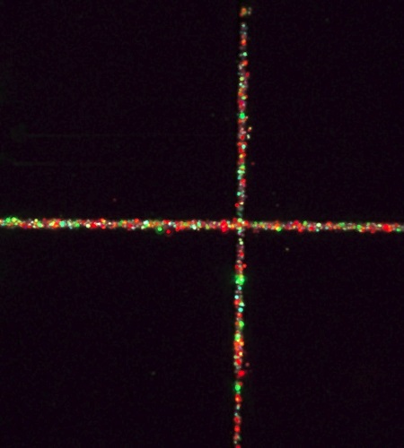 A microscopy image of the viewfinder grid with embedded nanodiamonds
