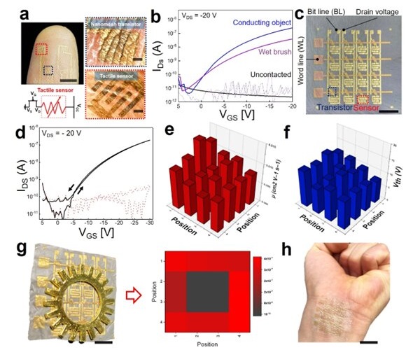 World’s first electronic skin with a mesh structure for long-term attachment without discomfort