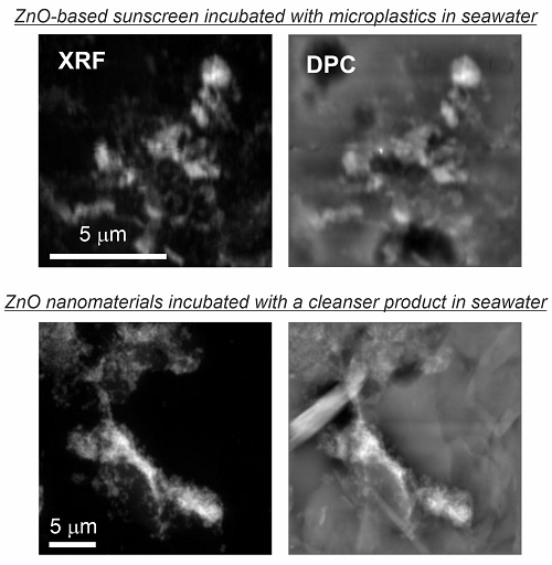 Figure 2. X-ray fluorescence (XRF, left) maps (100 nm pixel size) for the Zn signal and differential phase contrast (DPC, right) image for morphological inspection of the adsorbed structures measured at the hard X-ray nanoprobe (I14 beamline). Zn-particles from the sunscreen were deposited on the pristine microplastics after incubation in seawater (top row) while ZnO nanomaterials were deposited on the microplastics leached from the exfoliating cleanser after incubation in seawater as well (bottom row).
