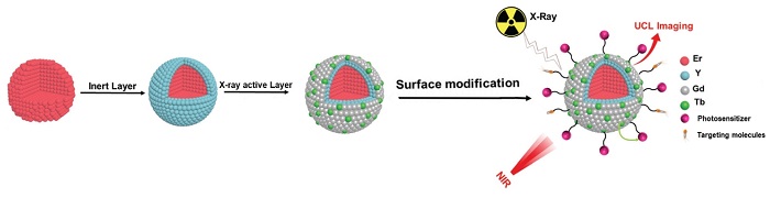 Schematics of the synthesis and structure of the nanoparticles. In the last step of surface modification photosensitizers are added to implement the photodynamic therapy, as well as molecules that target the tumour
