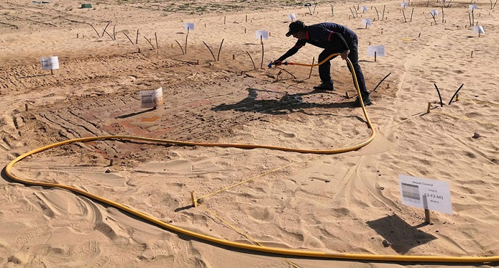 The clay is sprayed directly onto the ground before the plants are watered like any other irrigated crop