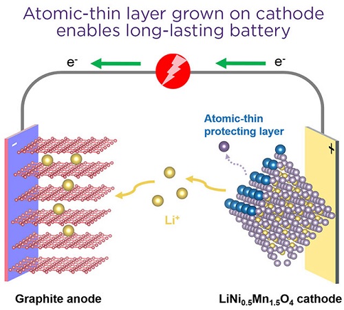 Atomic-thin layer grown on cathode enables long-lasting battery